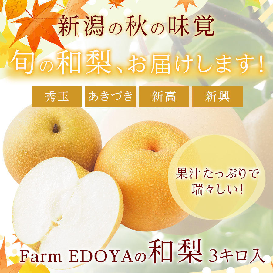 新潟の梨