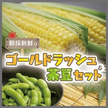 ゴールドラッシュ茶豆セット