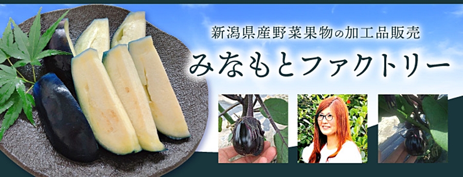 茄子の生産