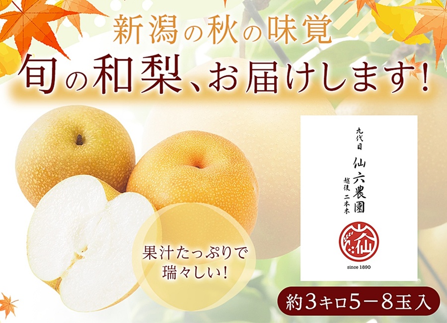 新潟の梨